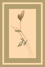 dywan_10
